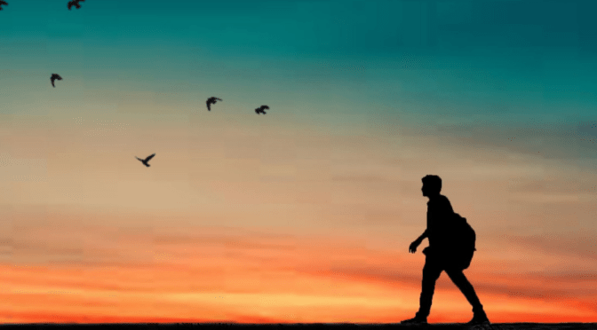 Transcender para não enlouquecer